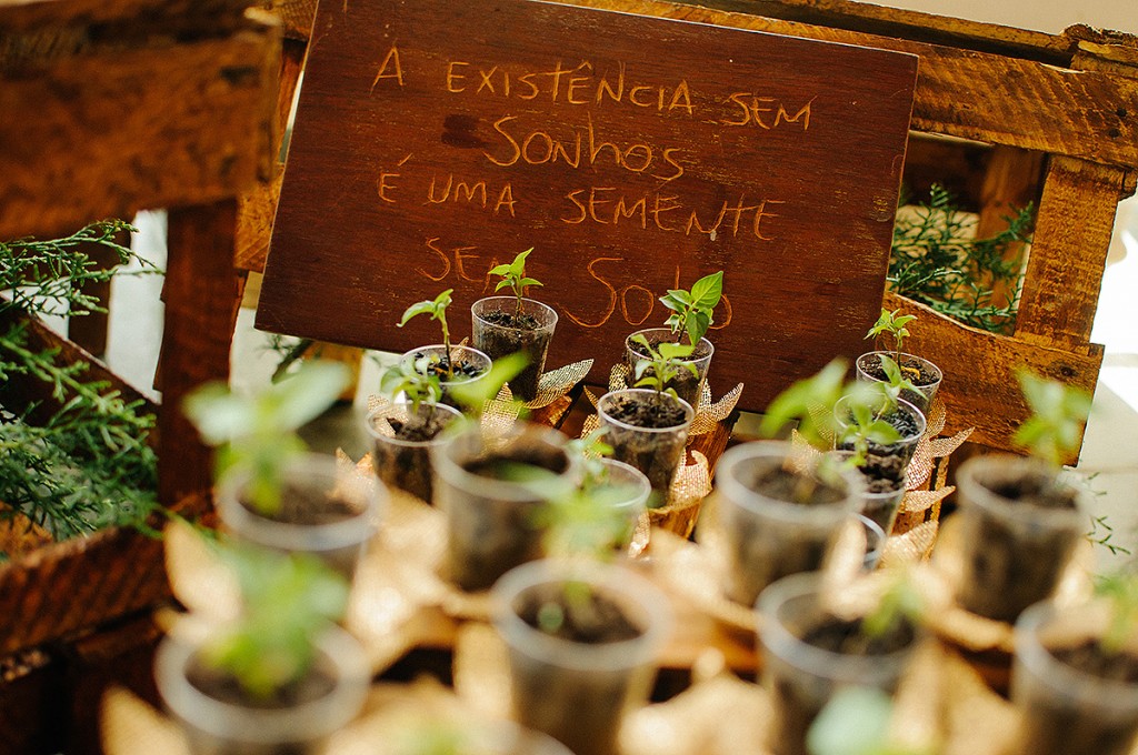 Lembrança de Casamento de Dia ao ar livre planta pé de pimenta