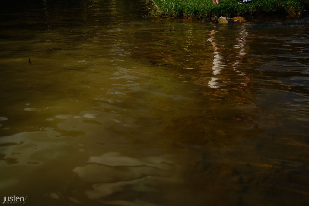 D60_5985